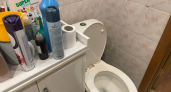Туалетная бумага: уходит в прошлое: многие уже используют современный метод - гораздо экологичнее и удобнее