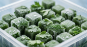 Зелень не сушу и не морожу, делаю зелёные кубики: вкус как с грядки — зимой открываешь контейнер, а там чистое лето