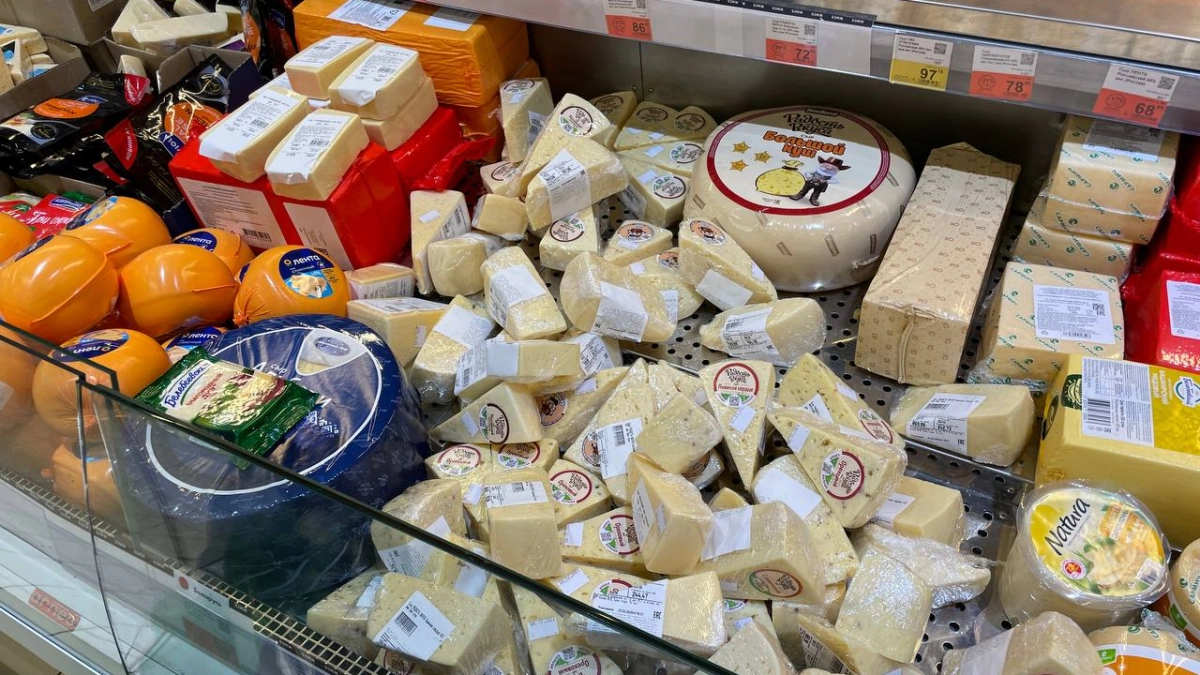 Роскачество проверило сыры в 2025 году: результаты исследования