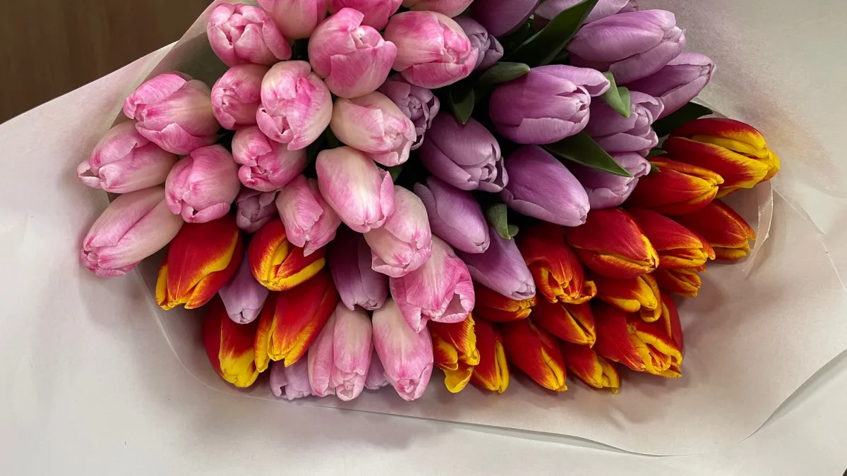 Исследователи выяснили, сколько воронежцы могут потратиться 8 Марта