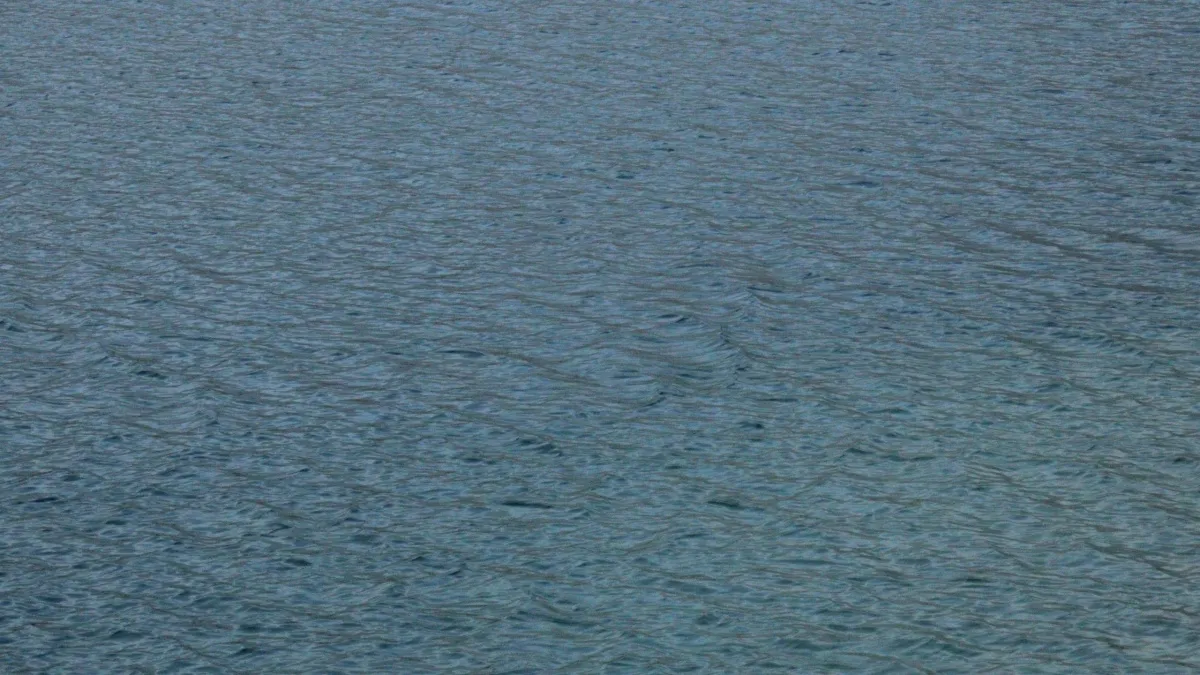 В Лисках ожидают значительный подъём воды на Дону во время весеннего половодья