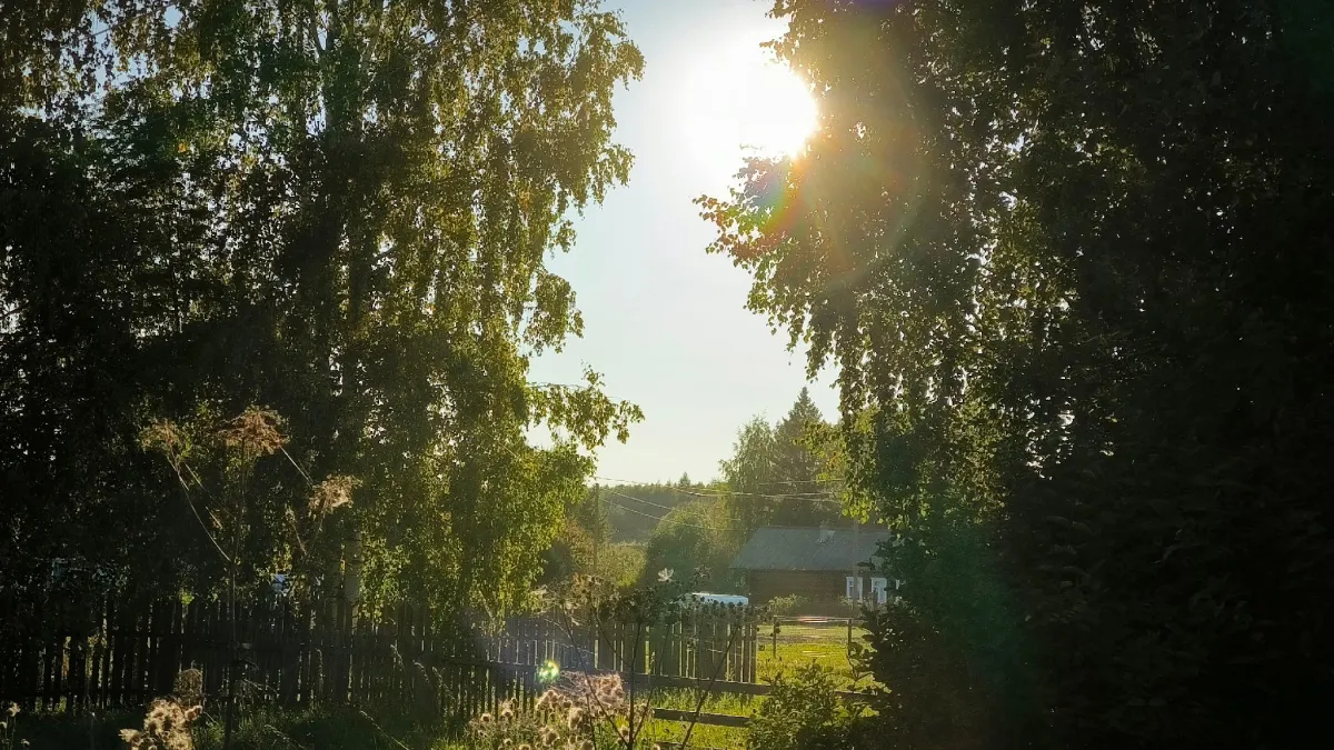 Метеролог Вильфанд озвучил, когда ждать прихода весны