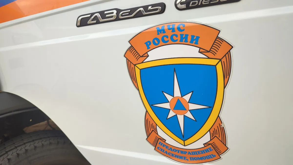 В Воронежской области при пожаре в жилом доме погиб человек