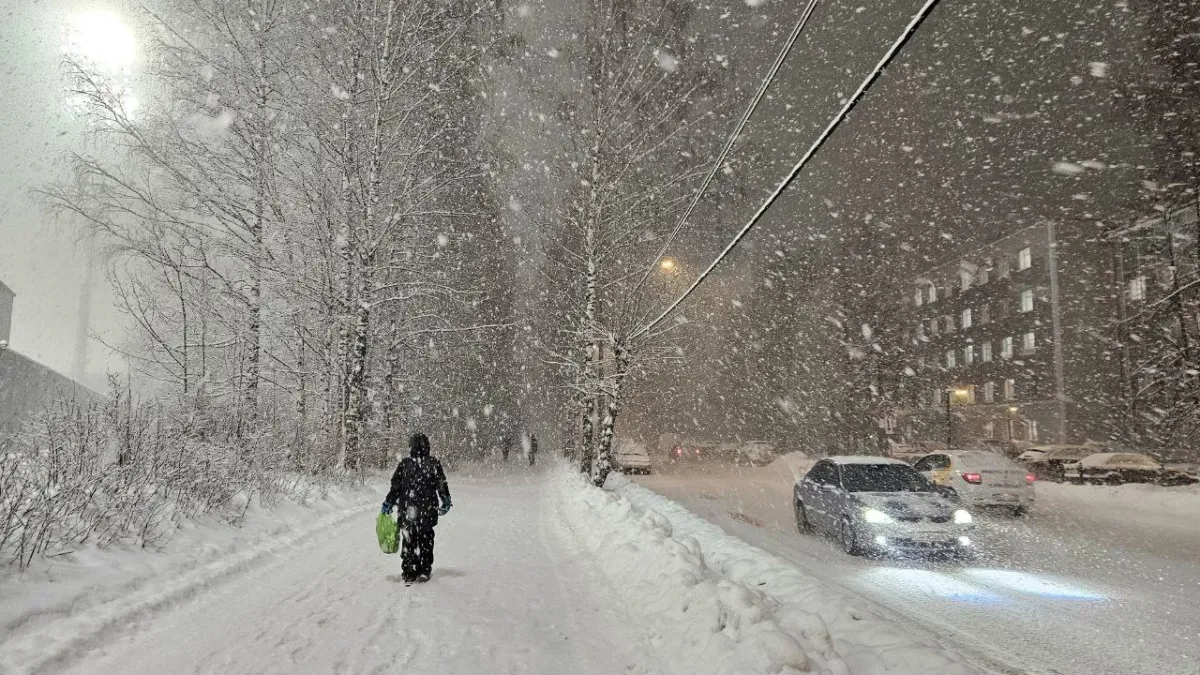 Тепла ждать не стоит: опубликован точный прогноз погоды на лето-2026