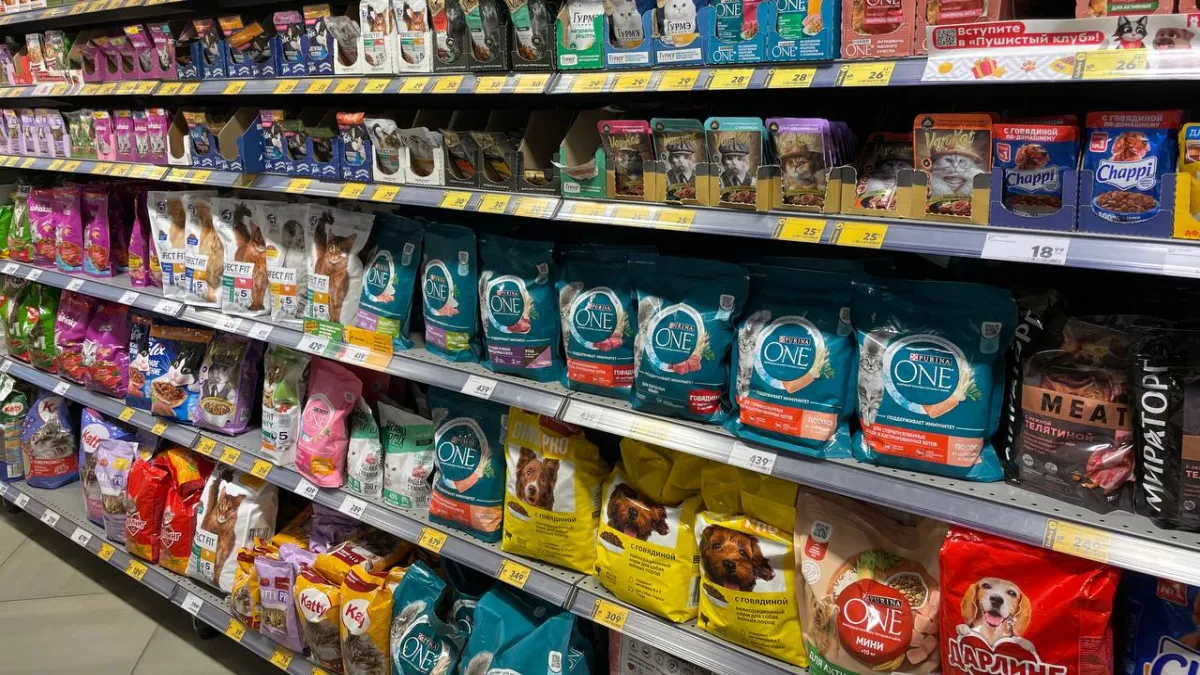 "Не вздумайте брать": Роскачество назвало корма для кошек которые не прошли проверку