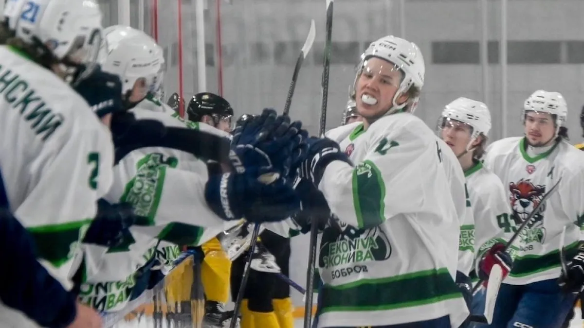 Воронежские хоккеисты из "Протона" и "Боброва" поделили победы в выездных матчах