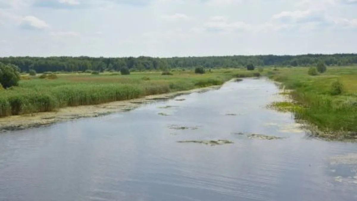 Экологи обследуют Воронежское водохранилище за 1,8 миллиона рублей до конца года