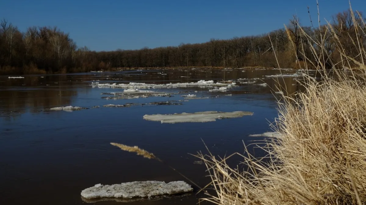 В Воронежской области создали 55 пунктов временного размещения на случай паводка