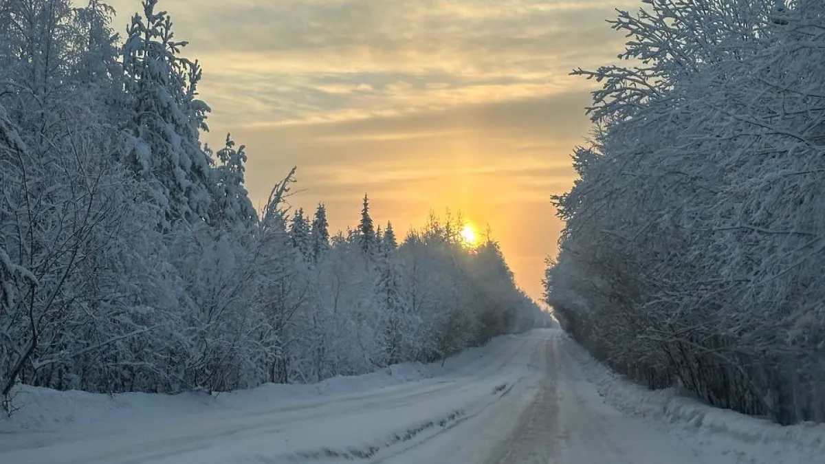 Новую дорогу от Лискинского района построят в Воронежской области