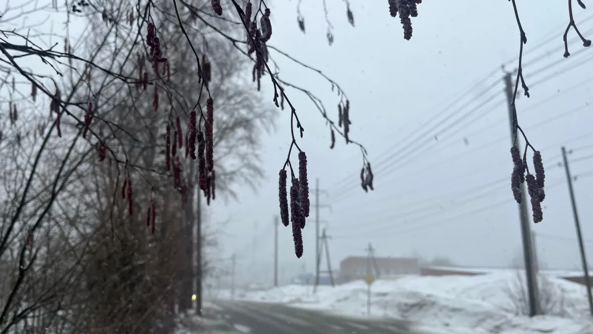 В Воронежской области 17 марта ожидаются дождь, мокрый снег и гололед