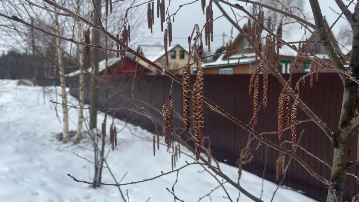 В Воронежской области 18 марта ожидаются дождь, мокрый снег и до +8 градусов