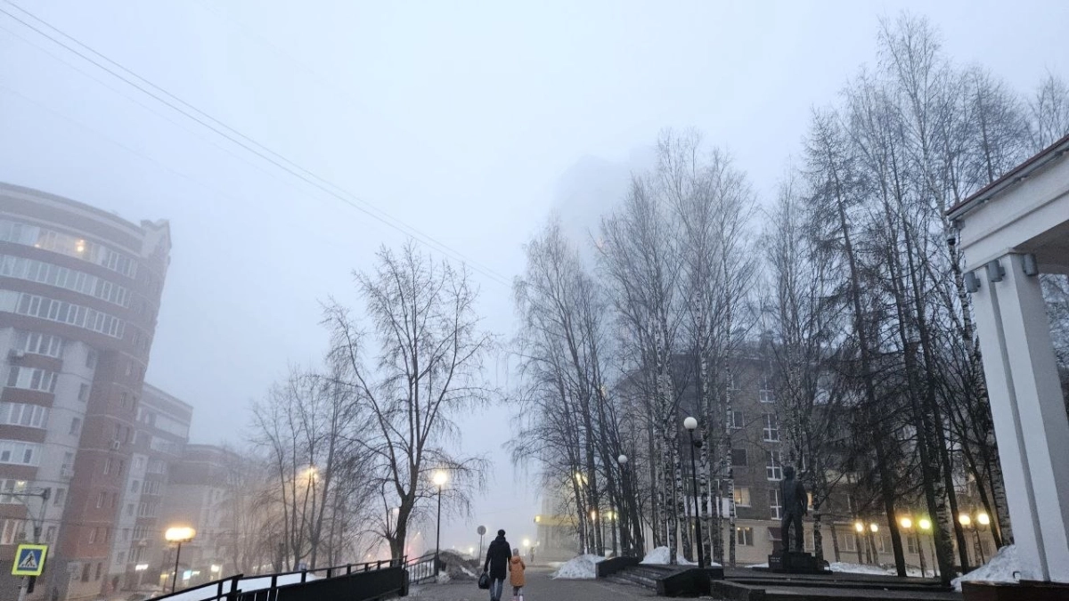 В Воронежской области 19 марта ожидаются туман и до +10 градусов