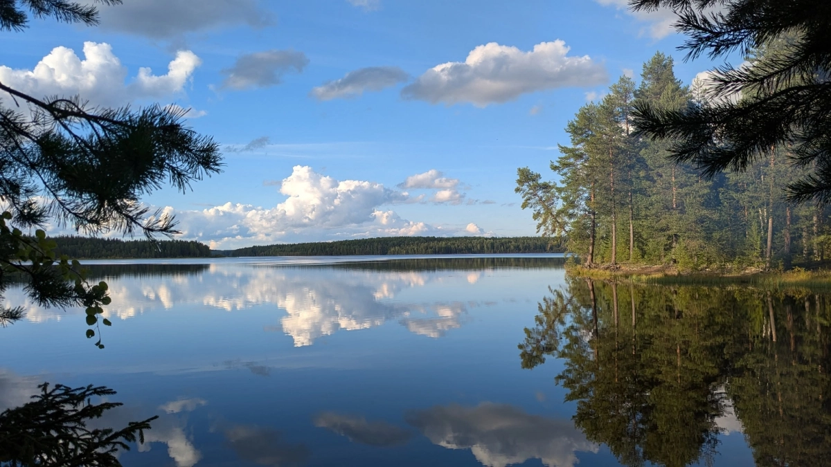 В Лискинском районе появится особо охраняемая природная территория у Колыбелкинского пещерного комплекса