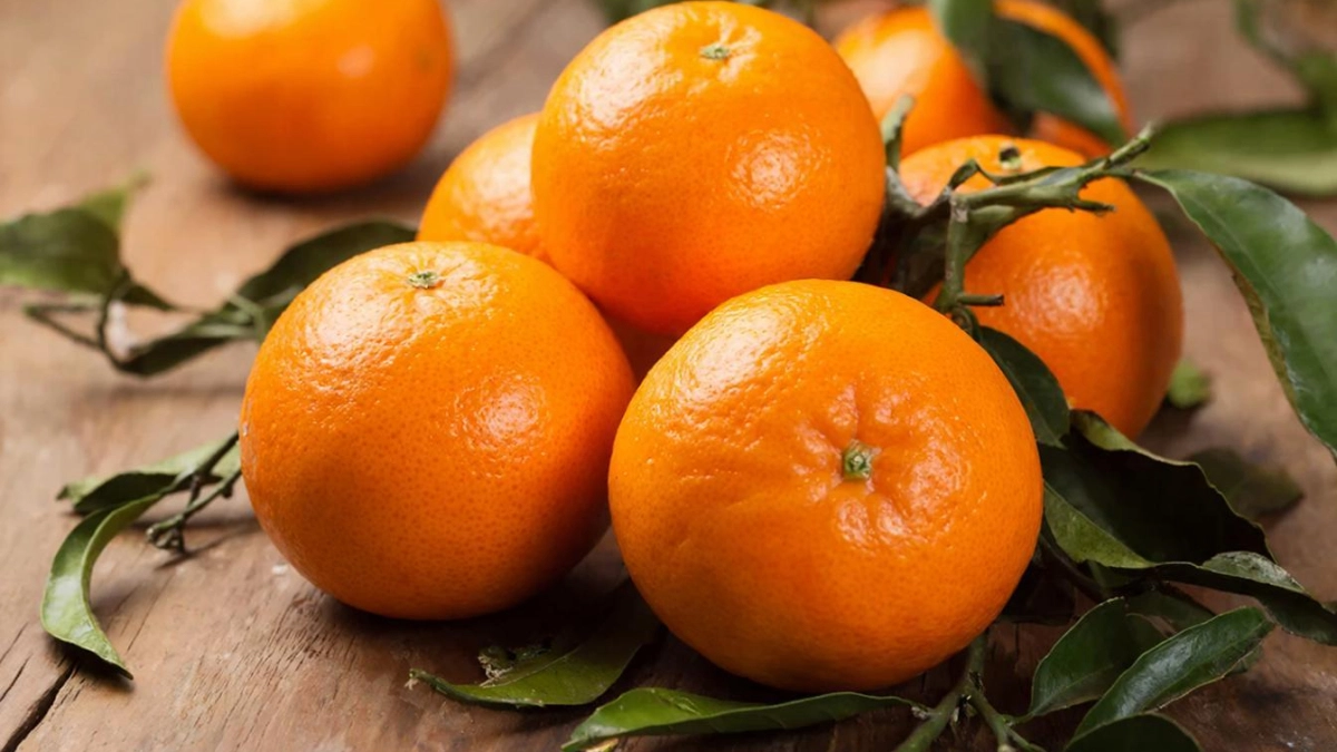 Апельсины халлабон из Перекрёстка в 3 раза дороже обычных: как их едят и почему японцы реально сильно поссорились из-за них с корейцами
