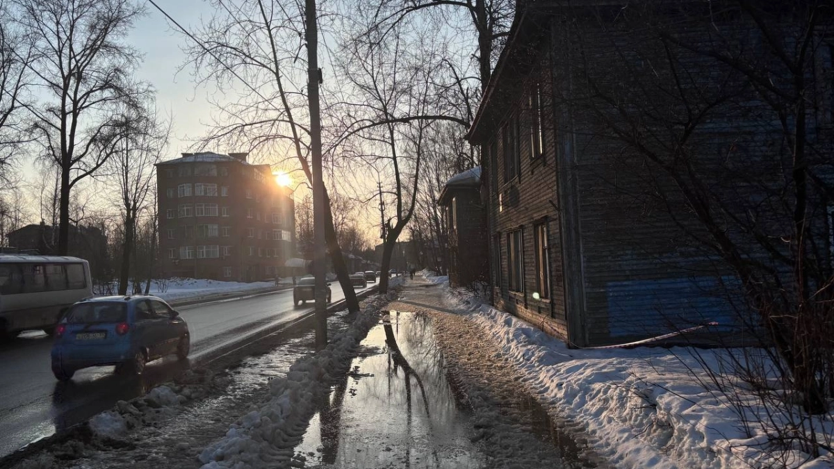 Погода в Воронежской области 22 марта будет туманной и тёплой