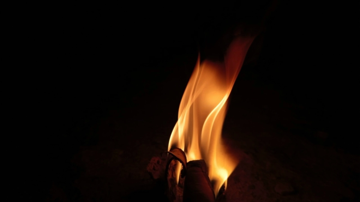 В Воронежской области задержали пару за поджоги вышек связи