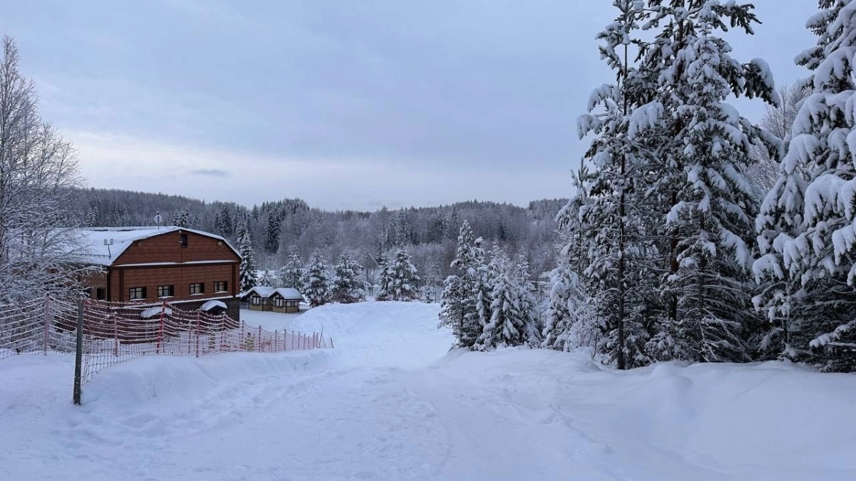 Зима не отступит: синоптики рассказали, какую погоду стоит ждать в марте
