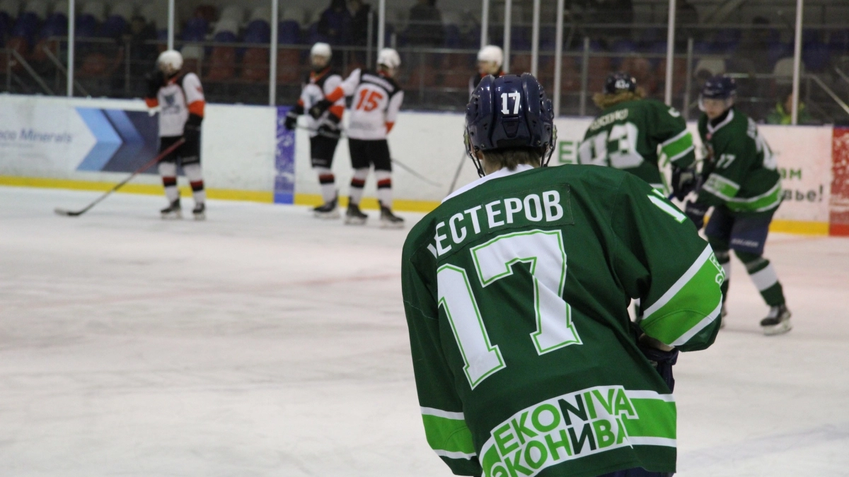 Хоккеисты из Воронежской области пробились в плей-офф НМХЛ, одержав четыре победы подряд