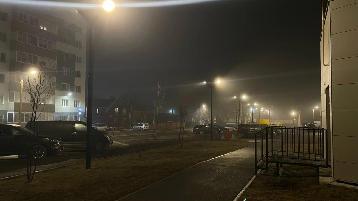 Воронежскую область 24 марта ждут туман и плюсовая температура днем