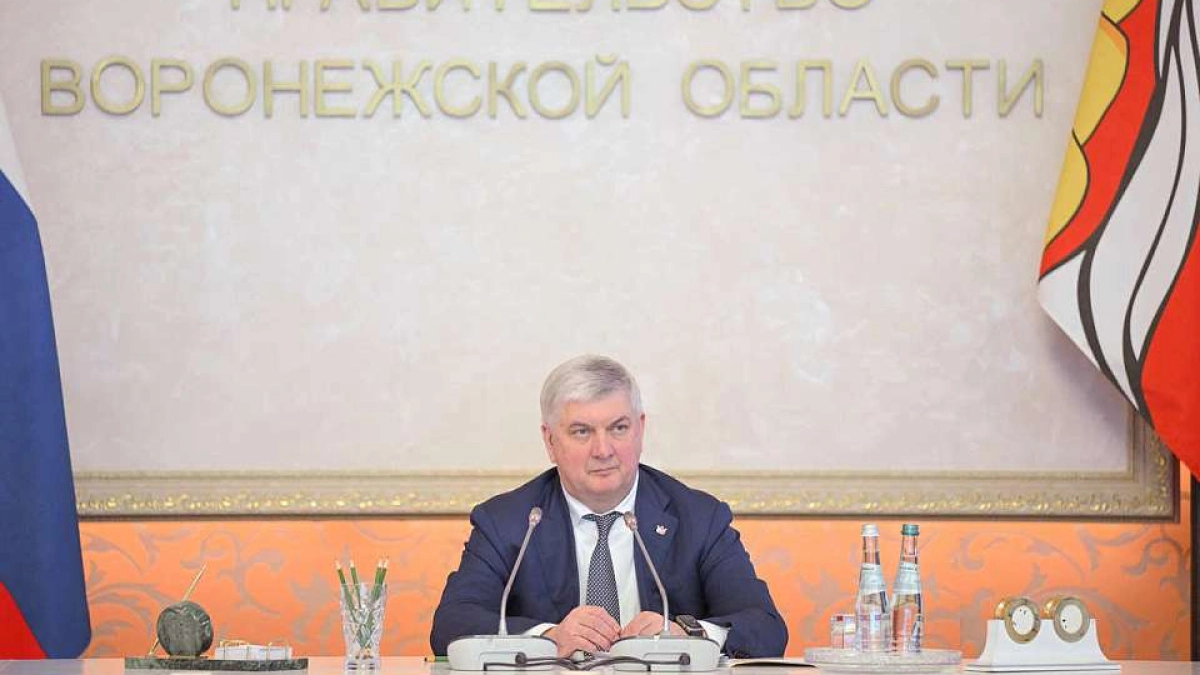 Власти Воронежской области расширят поддержку многодетных семей