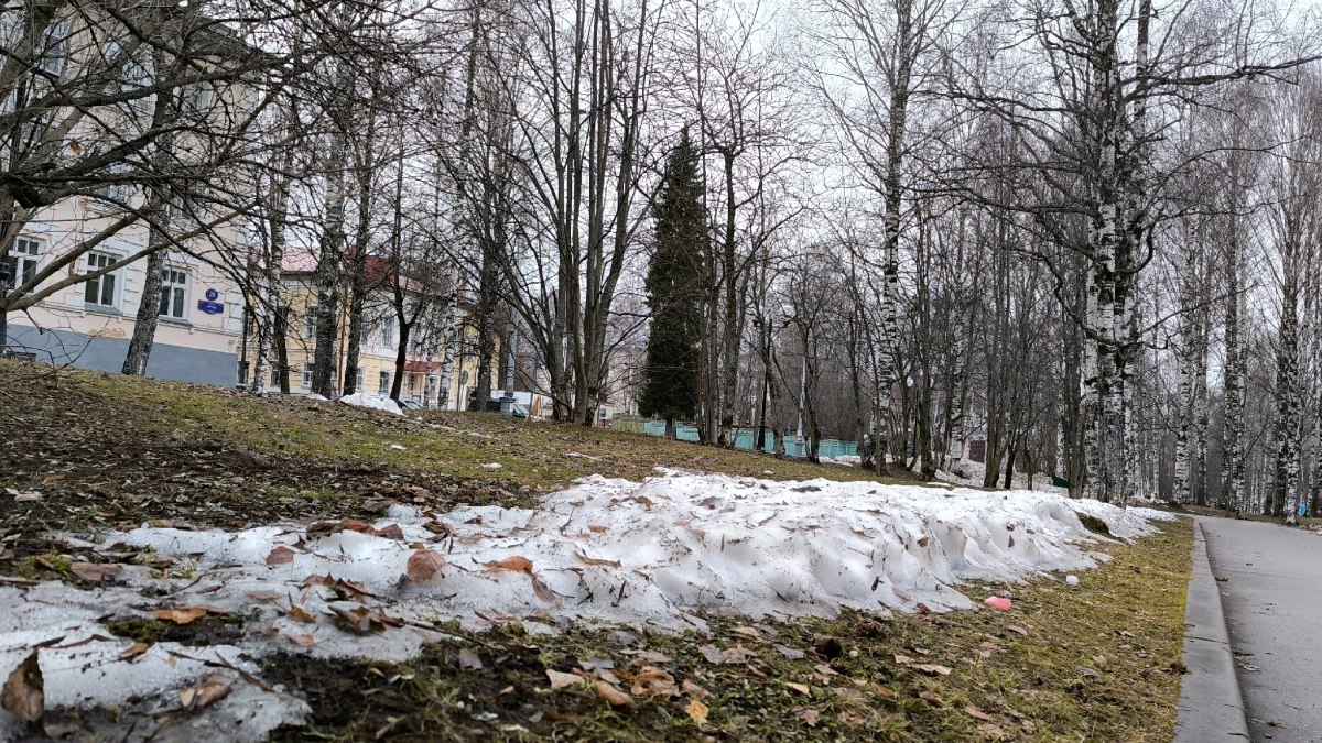 В Воронежской области 25 марта ожидается до +13 градусов и туман утром