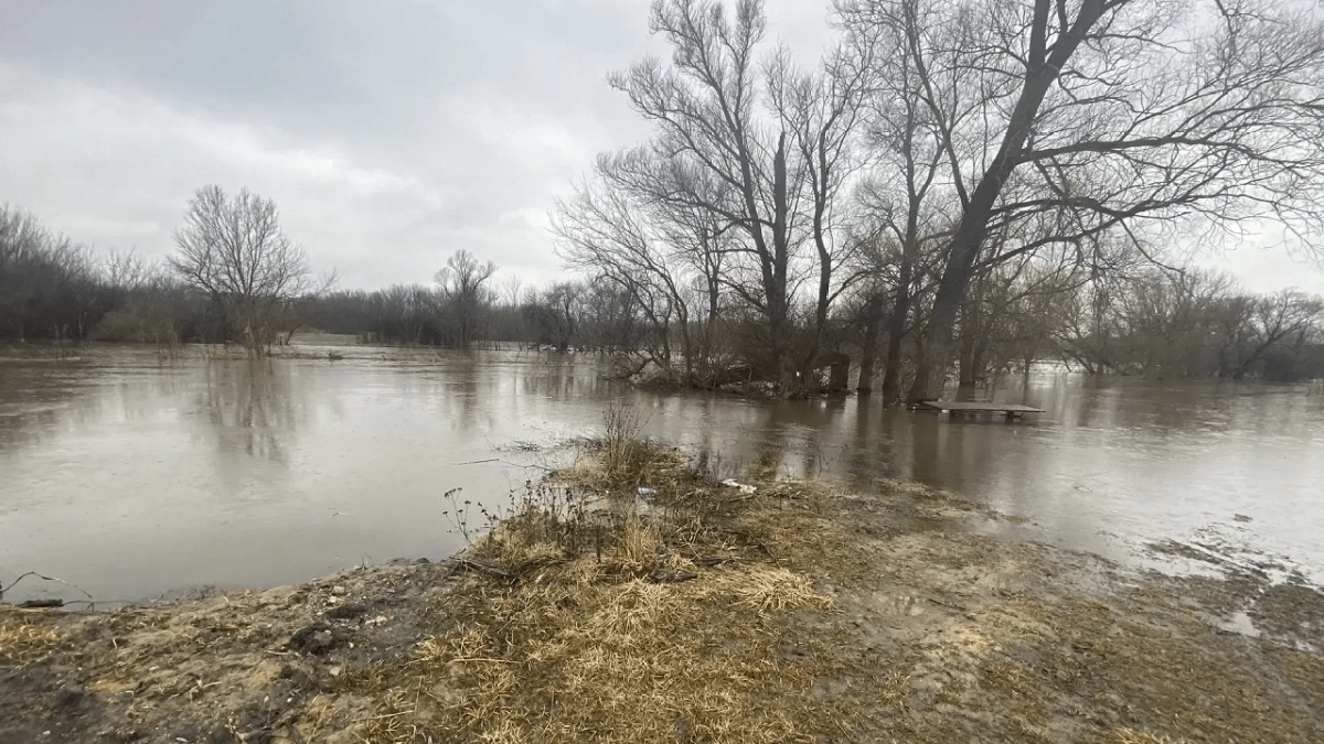 Весной в Воронежской области пройдут рейды по берегам рек из-за угрозы паводка