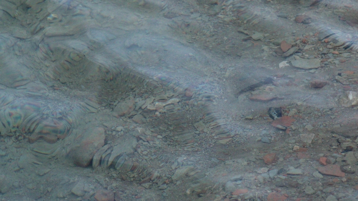 В Воронежской области озеро Чистое вновь уходит от берега