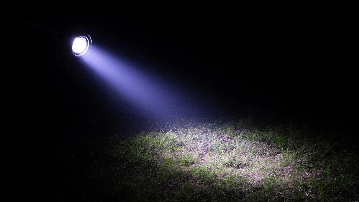 Взял УФ-фонарик и пошёл в магазин за сливочным маслом: Показываю, как же с его помощью отличить настоящее (просветил 10 марок)