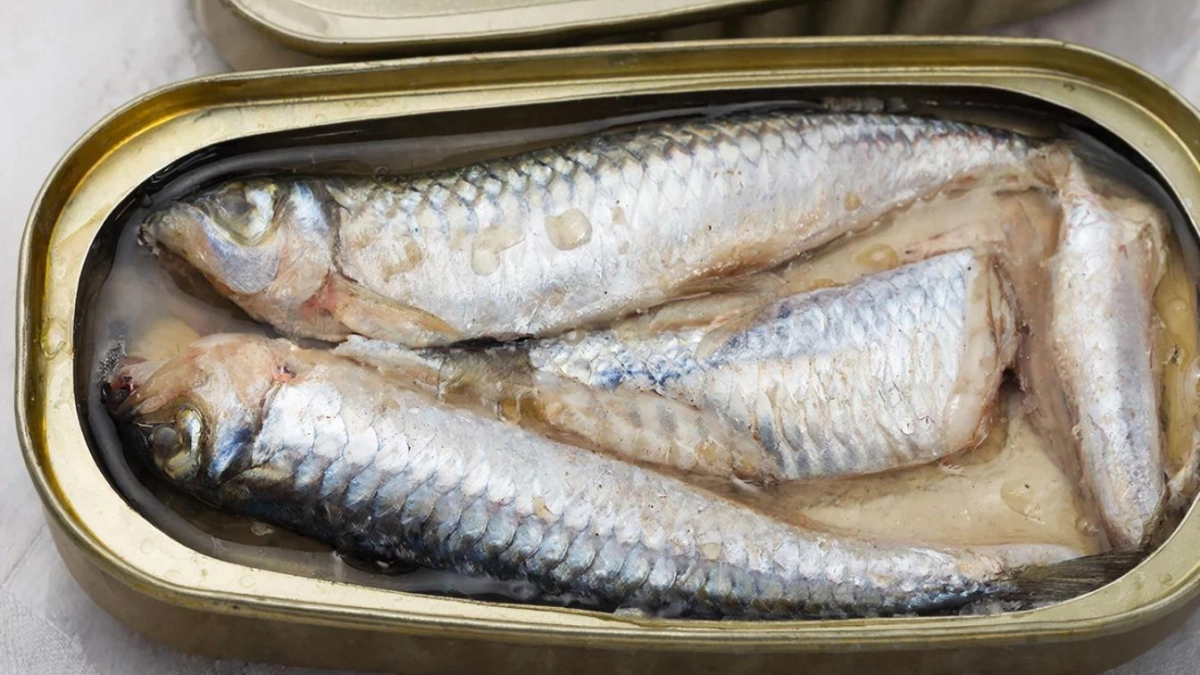 Мы едим её каждый день и даже не догадываемся: 7 фактов о баночной селедке, о которых молчат все производители