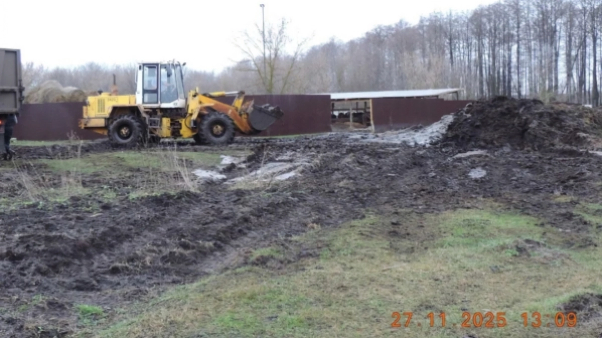 Житель Лискинского района задолжал 530 тысяч рублей за загрязнение почвы навозом