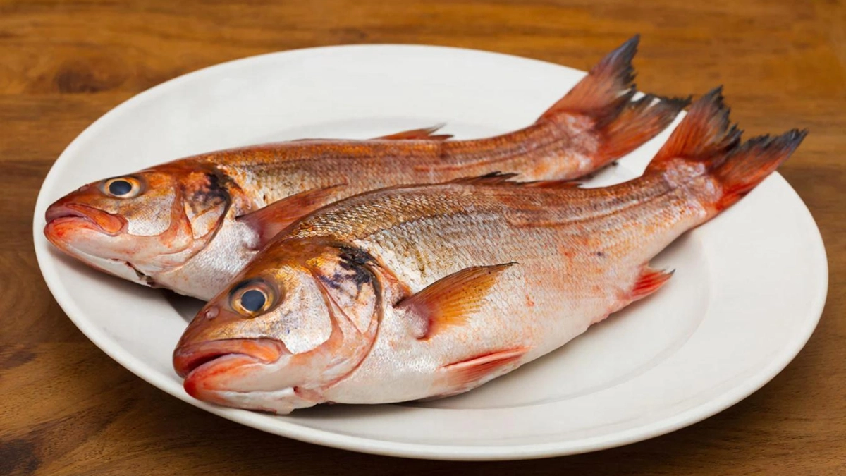 Озвучена реально самая полезная для человека рыба — ешьте три раза в неделю. Богата селеном, фосфором и хороша на вкус