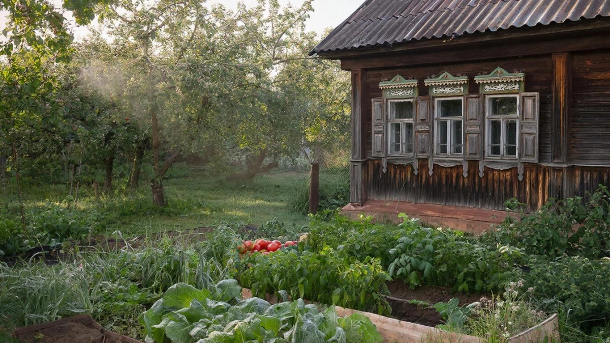 Мусор, который точно работает намного лучше навоза: надо просто приготовить домашний ускоритель компоста