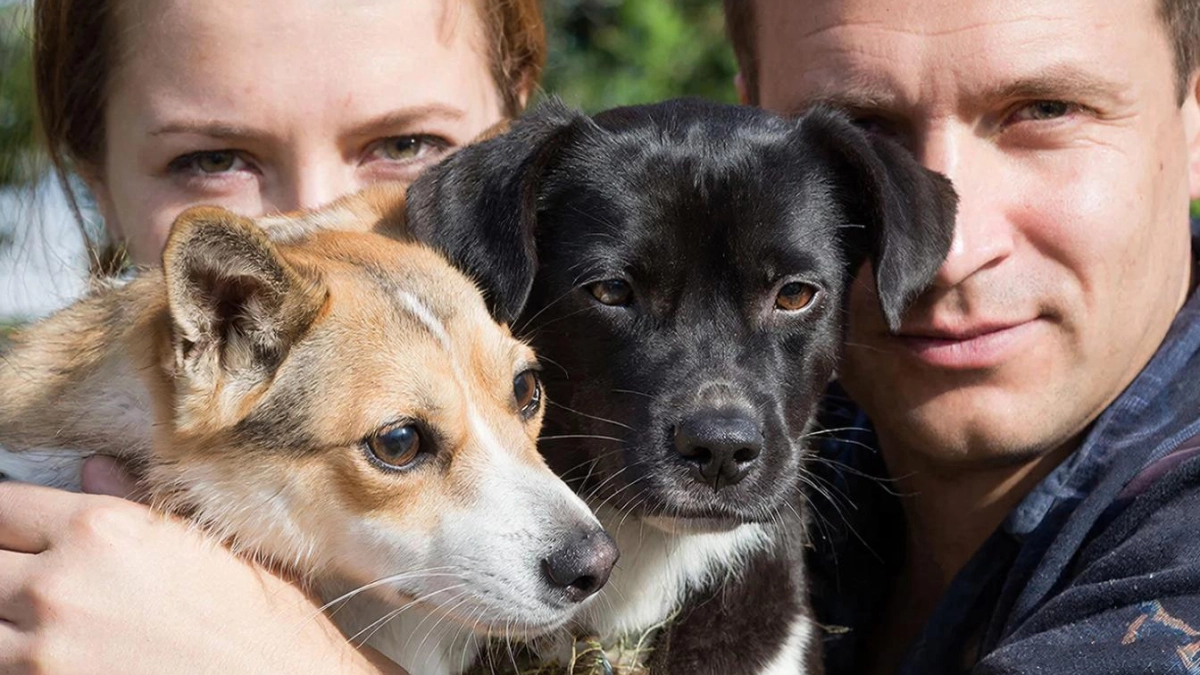 Всегда будут с вами: 7 точно преданных пород собак по мнению кинологов