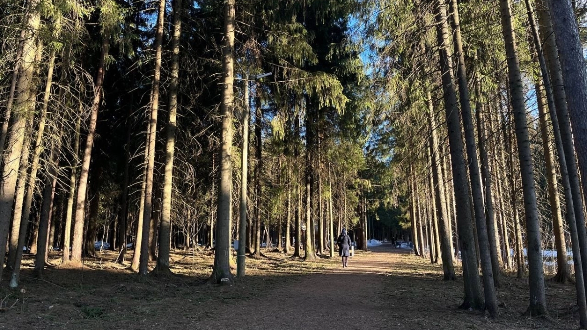 В Воронежской области 4 апреля установится тёплая и сухая погода