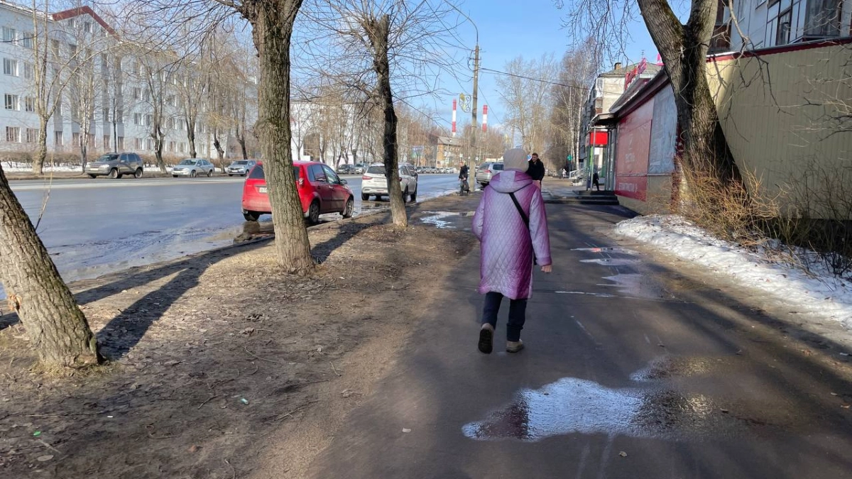 Новая льгота для пенсионеров от 60 лет: условия оформления и нужные документы