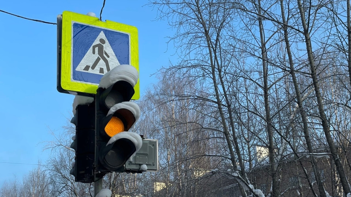 В Воронежской области произошло смертельное ДТП