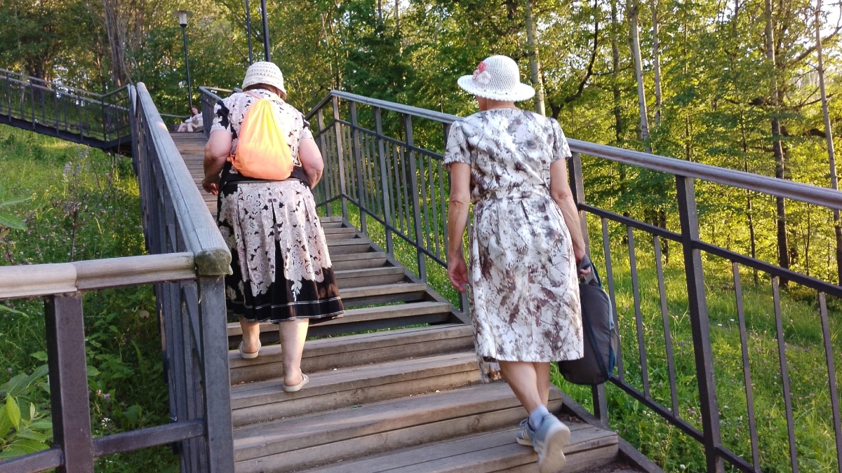 Стаж, который не учитывается при выходе на пенсию: не все годы работы одинаково полезны