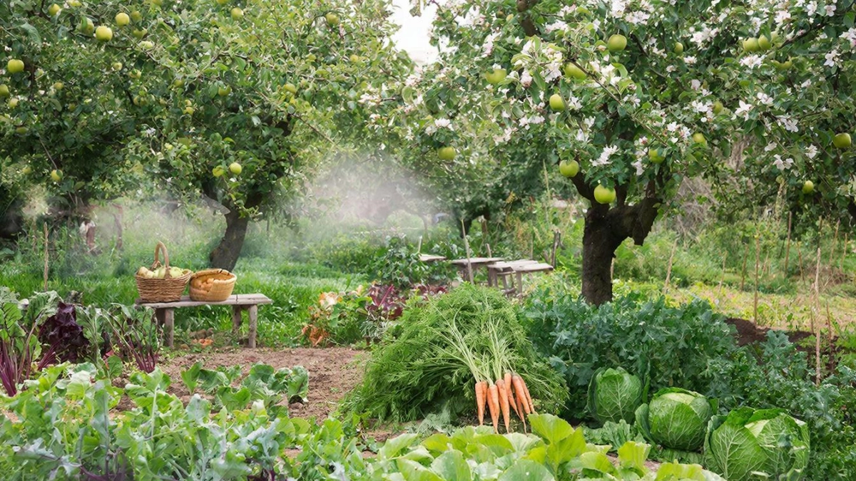 Почему норвежцы реально не имеют огородов и не делают домашние заготовки. Хотя большинство из них живут в частных домах
