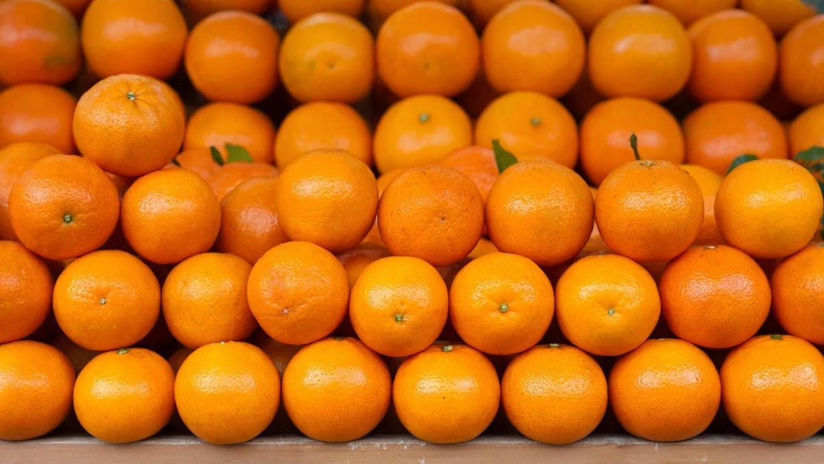 Апельсины халлабон из Перекрёстка в 3 раза дороже обычных: как их едят и почему японцы очень сильно поссорились из-за них с корейцами