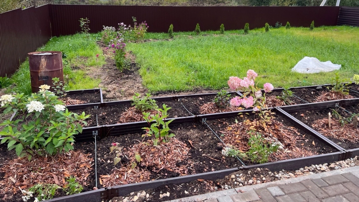 Без теплицы и удобрений: метод из Китая помог увеличить урожай огурцов на треть