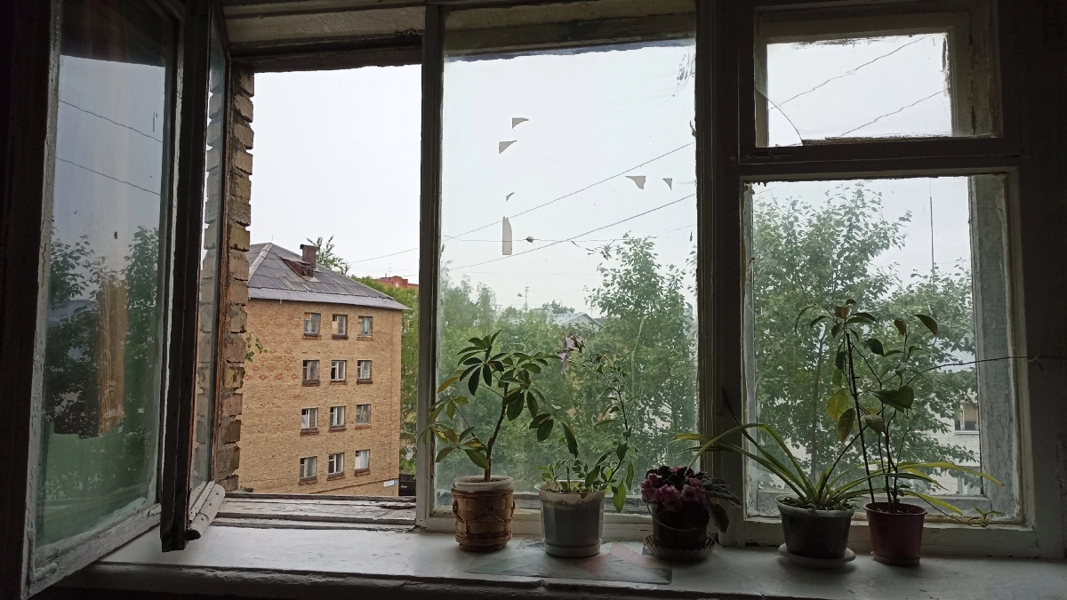 Почему люди клеят пузырьковую плёнку на окна: выяснил, и теперь делаю так же