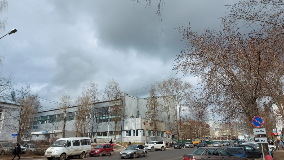 В Воронежской области 8 апреля ожидаются дожди, грозы и до +13 градусов