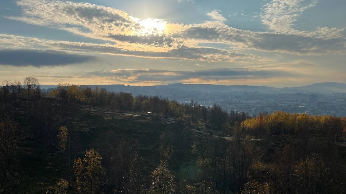 В Воронежскую область 11 апреля южный ветер принесет потепление