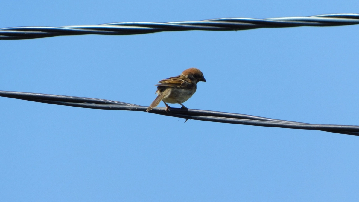 В Воронежской области износ коммунальных сетей достиг 68 процентов