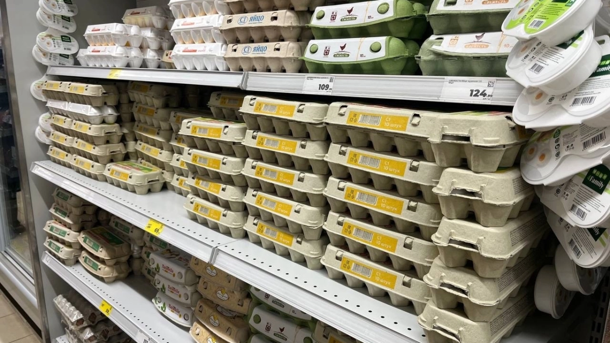 Птицефабрики Воронежской области выдали в 2025 году по 520 яиц на каждого жителя 