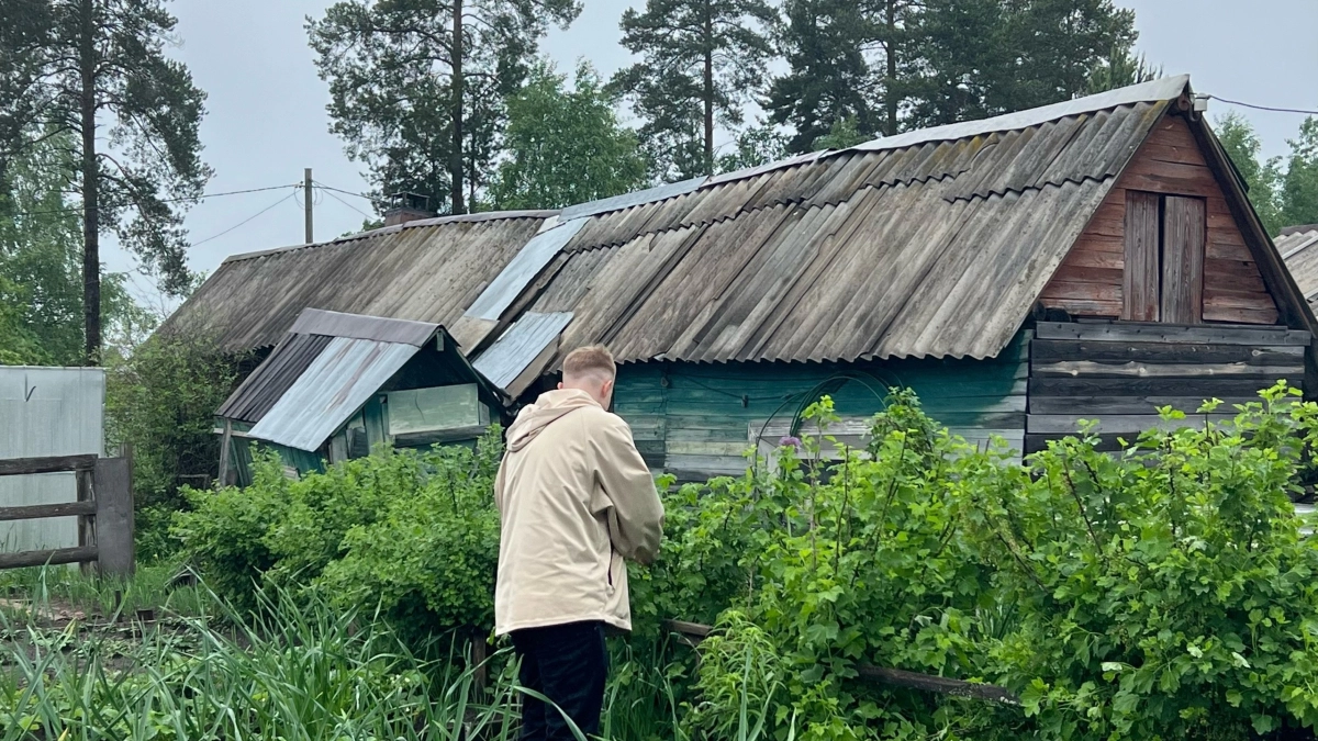 Ловчий пояс для деревьев: как защитить сад от вредителей без химии
