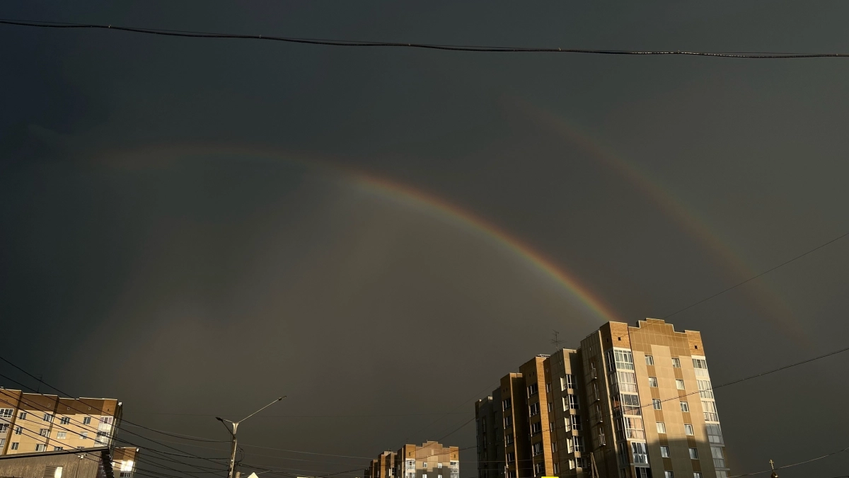 Дождливая погода задержится в Воронежской области 16 апреля с потеплением до 16 градусов