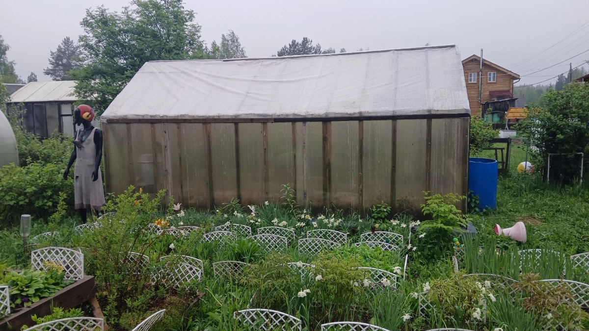 100 мл на 10 л воды – тля покинет участок дружным строем: 1 обработка на все лето