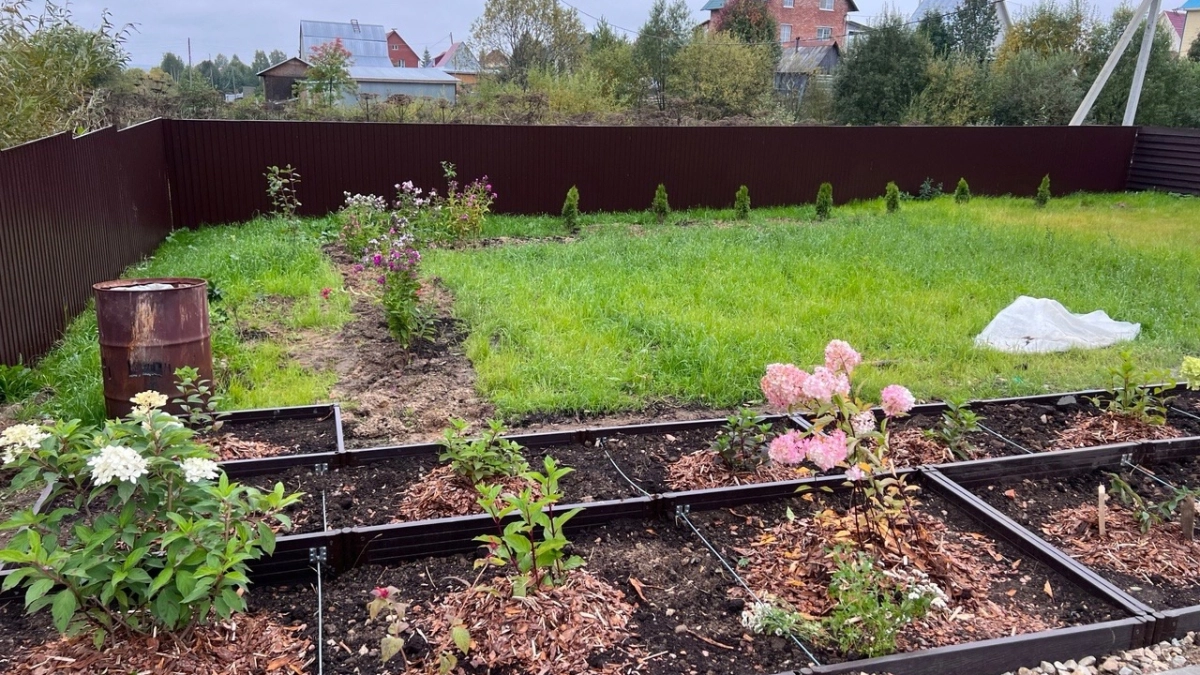 Что посадить в апреле прямо в грунт, не дожидаясь тепла