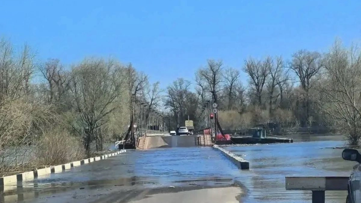 В Воронежской области после спада воды открыли движение по наплавному мосту через Дон
